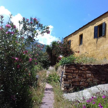 אבדילוס Ikarian Centre - Accommodation & Mountain Hiking מראה חיצוני תמונה