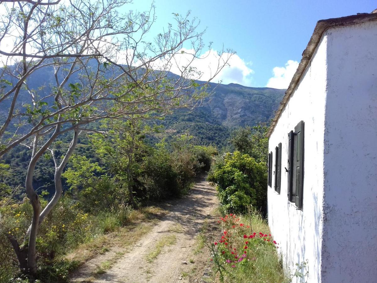 אבדילוס Ikarian Centre - Accommodation & Mountain Hiking מראה חיצוני תמונה