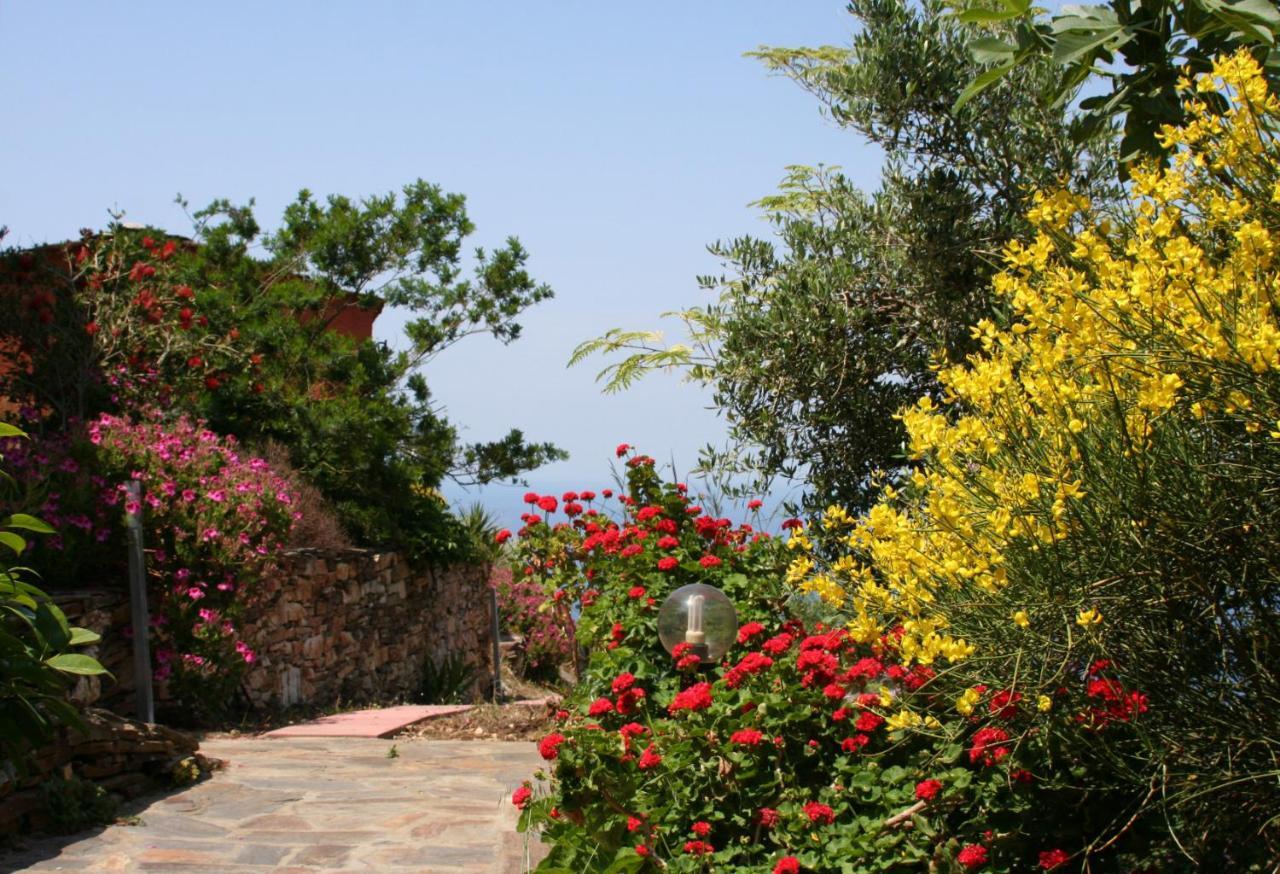 אבדילוס Ikarian Centre - Accommodation & Mountain Hiking מראה חיצוני תמונה